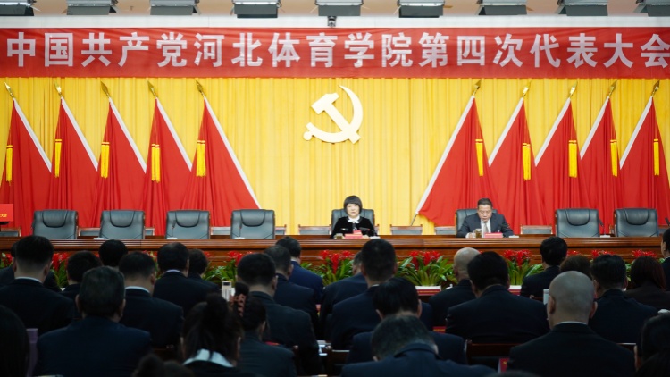 BetWay体育备用网址图片