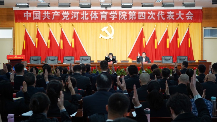 BetWay体育欧洲杯图片